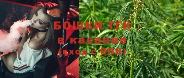 тгк Абдулино