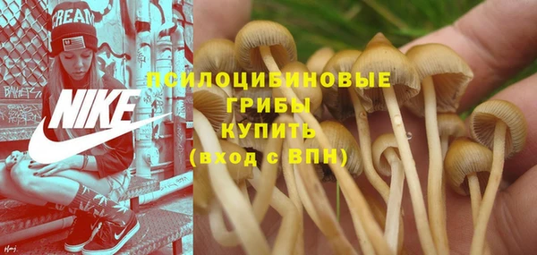 Альфа ПВП Алзамай