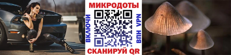 Галлюциногенные грибы мицелий Осташков